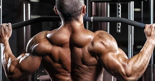 Hipertrofi Antrenmanları